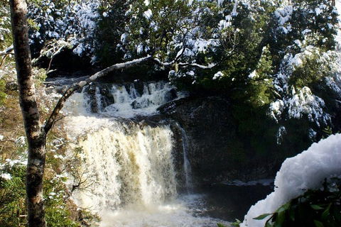 Cradle Mountain Park Explorer Guided Tour - Accommodation Sunshine Coast 4