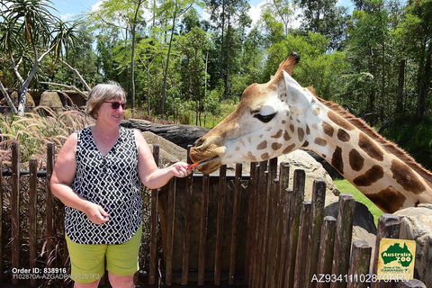 Small-Group Australia Zoo Day Trip From Brisbane - Accommodation Sunshine Coast 2