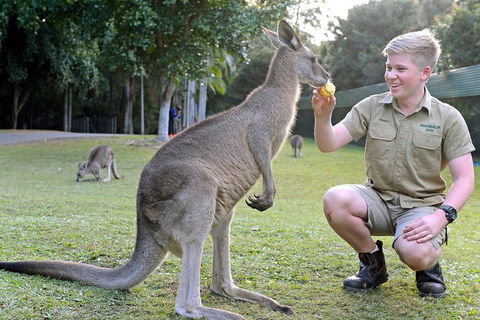 Small-Group Australia Zoo Day Trip From Brisbane - Accommodation Sunshine Coast 4