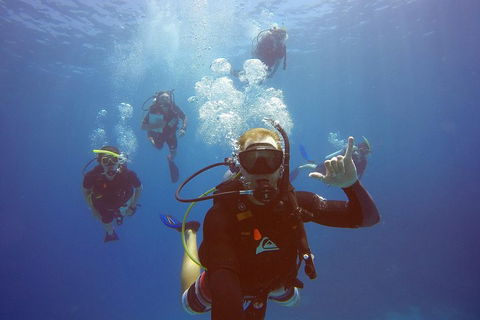 12-Day Great Barrier Reef Marine Conservation Program From Cairns - Accommodation Sunshine Coast 0