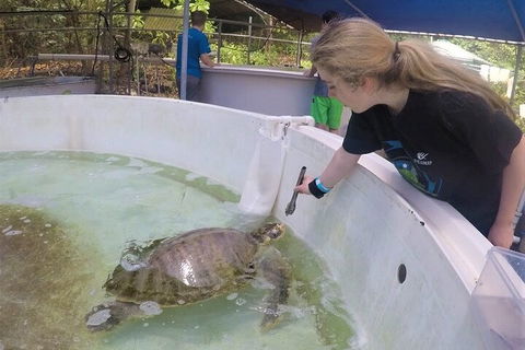 12-Day Great Barrier Reef Marine Conservation Program From Cairns - Accommodation Sunshine Coast 4