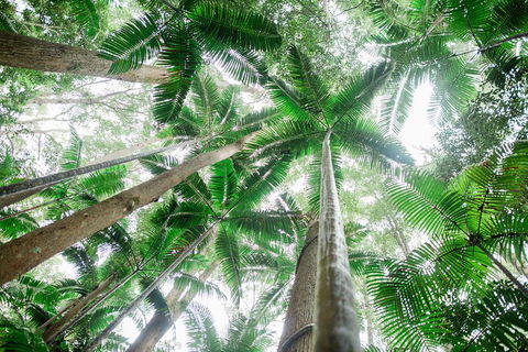 Fraser Explorer K'gari 2-Day Tour - Accommodation Sunshine Coast 2