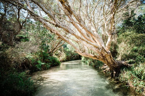 3-Day Fraser Island Resort Package - Accommodation Sunshine Coast 5