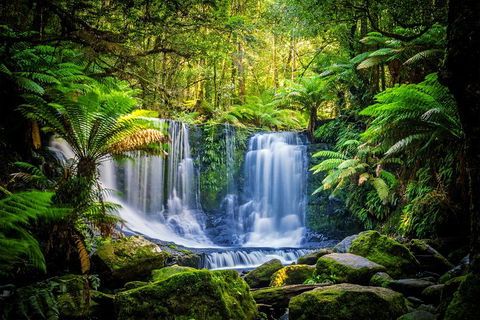 Day Tour In Mt. Field, Mt. Wellington, Bonorong Wildlife Sanctuary And Richmond - Accommodation Sunshine Coast 0