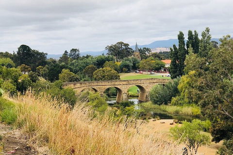 Day Tour In Mt. Field, Mt. Wellington, Bonorong Wildlife Sanctuary And Richmond - Accommodation Sunshine Coast 3