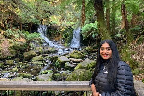 Day Tour In Mt. Field, Mt. Wellington, Bonorong Wildlife Sanctuary And Richmond - Accommodation Sunshine Coast 5