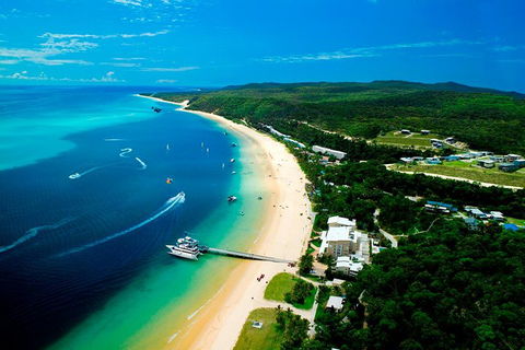 Tangalooma Island Resort Whale Watching Day Cruise - Accommodation Sunshine Coast 2