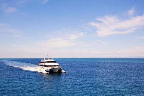 Tangalooma Island Resort Whale Watching Day Cruise - Accommodation Sunshine Coast 5