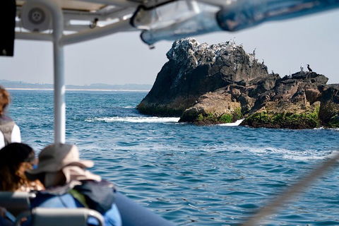 Julian Rocks Byron Bay Cruise - Accommodation Sunshine Coast 2