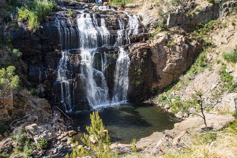 2-Day Great Ocean Road And Grampians Tour Roundtrip From Melbourne - Accommodation Sunshine Coast 1