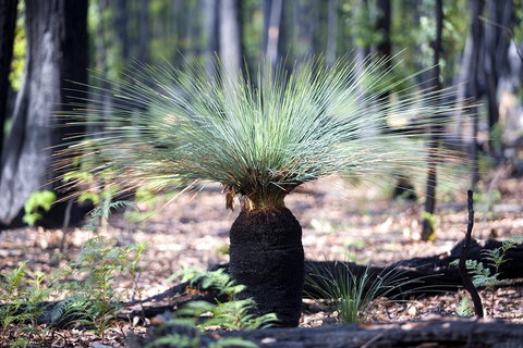 2-Day Great Ocean Road And Grampians Tour Roundtrip From Melbourne - Accommodation Sunshine Coast 3