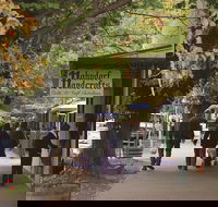 Adelaide Highlights Hahndorf  McLaren Vale Wine Tasting and Sightseeing Tour - Accommodation Sunshine Coast