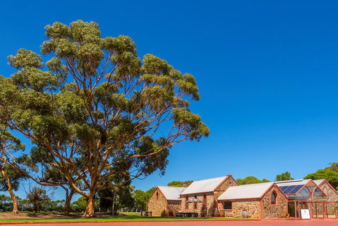 McLaren Vale And Glenelg Wine Tasting And Sightseeing (Half-day Afternoon) - Accommodation Sunshine Coast 5