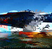 Express Jet Boat Ride  Aquaduck - Accommodation Sunshine Coast