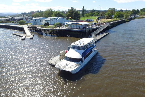 2.5 Hour Morning Discovery Cruise Including Sailing Into The Cataract Gorge - Accommodation Sunshine Coast 3
