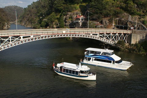 2.5 Hour Morning Discovery Cruise Including Sailing Into The Cataract Gorge - Accommodation Sunshine Coast 5