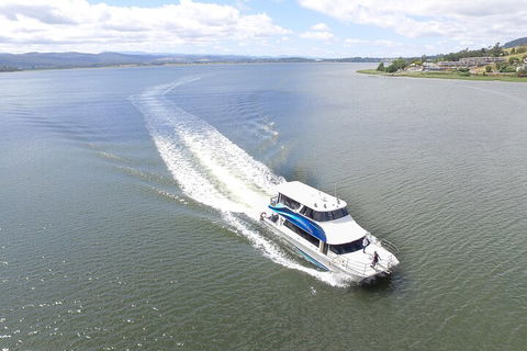 2.50 Hour Afternoon Discovery Cruise Including Cataract Gorge Departing At 3 Pm - Accommodation Sunshine Coast 0