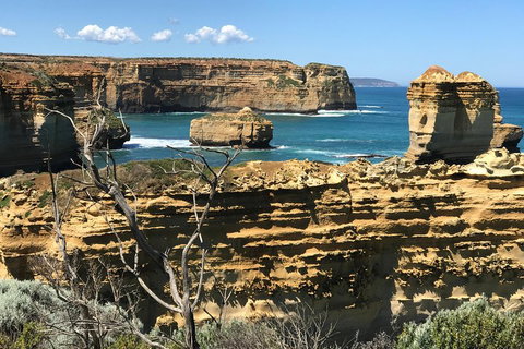 Great Ocean Road Reverse Itinerary Tour - Accommodation Sunshine Coast 1