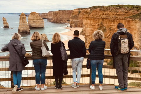 Great Ocean Road Reverse Itinerary Tour - Accommodation Sunshine Coast 2