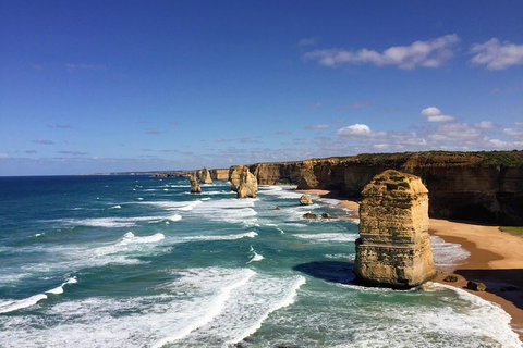 Great Ocean Road Reverse Itinerary Tour - Accommodation Sunshine Coast 4