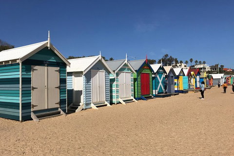 Phillip Island Penguin Parade, Brighton Bathing Boxes And Wildlife Park Tour - Accommodation Sunshine Coast 3