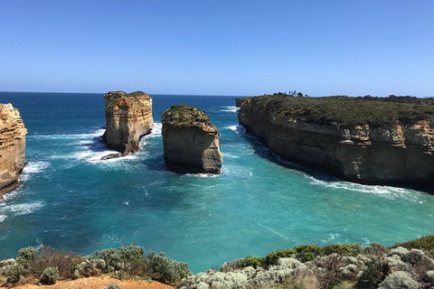 Great Ocean Road Reverse Itinerary PREMIUM Tour - Accommodation Sunshine Coast 0