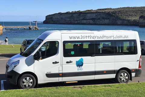 Great Ocean Road Reverse Itinerary PREMIUM Tour - Accommodation Sunshine Coast 1