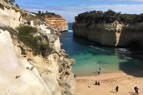 Great Ocean Road Reverse Itinerary PREMIUM Tour - Accommodation Sunshine Coast 3