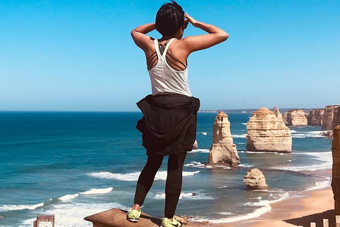 Great Ocean Road Reverse Itinerary PREMIUM Tour - Accommodation Sunshine Coast 4