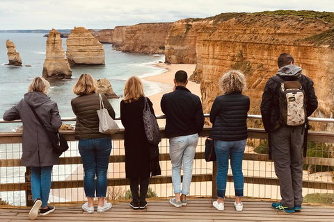 Great Ocean Road Reverse Itinerary PREMIUM Tour - Accommodation Sunshine Coast 5