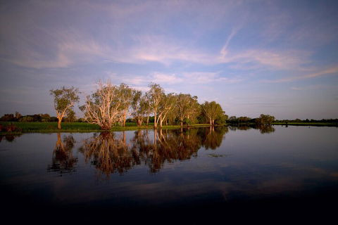 Yellow Water Cruise - Kakadu - Accommodation Sunshine Coast 1