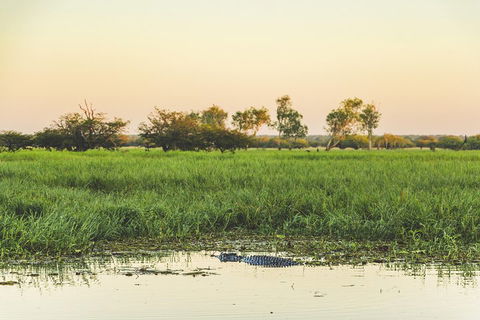 Yellow Water Cruise - Kakadu - Accommodation Sunshine Coast 3