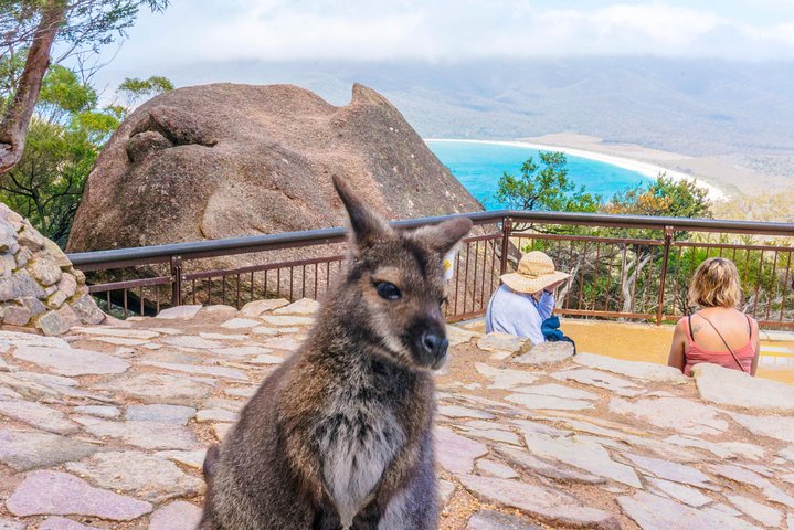  Accommodation Sunshine Coast