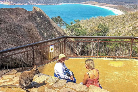 Wineglass Bay & Freycinet NP Full Day Tour From Hobart Via Richmond Village - Accommodation Sunshine Coast 1