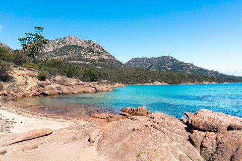 Wineglass Bay & Freycinet NP Full Day Tour From Hobart Via Richmond Village - Accommodation Sunshine Coast 5