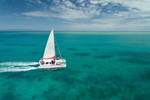 Full-Day Great Barrier Reef Sailing Trip - Accommodation Sunshine Coast 5