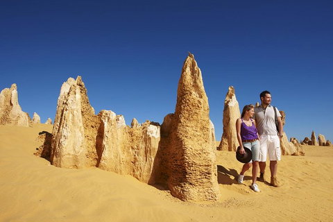 Pinnacles Day Trip From Perth Including Yanchep National Park - Accommodation Sunshine Coast 0