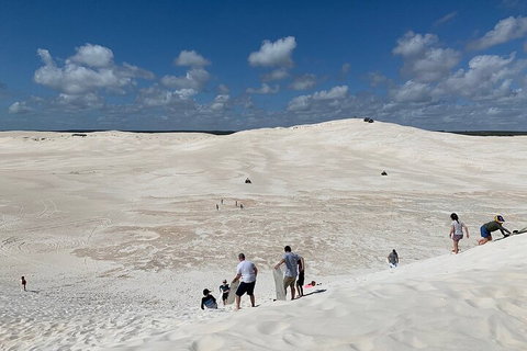 Pinnacles Day Trip From Perth Including Yanchep National Park - Accommodation Sunshine Coast 2