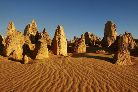 Pinnacles Day Trip From Perth Including Yanchep National Park - Accommodation Sunshine Coast 5
