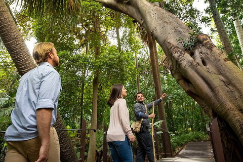 Aboriginal Heritage Walk - Royal Botanic Gardens Victoria, Melbourne Gardens - Accommodation Sunshine Coast 1
