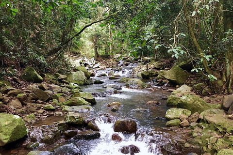 Exclusive Private Tour - Design Your Own - Accommodation Sunshine Coast 1