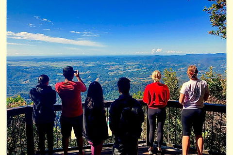 Exclusive Private Tour - Design Your Own - Accommodation Sunshine Coast 2