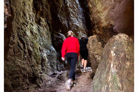 Exclusive Private Tour - Design Your Own - Accommodation Sunshine Coast 4