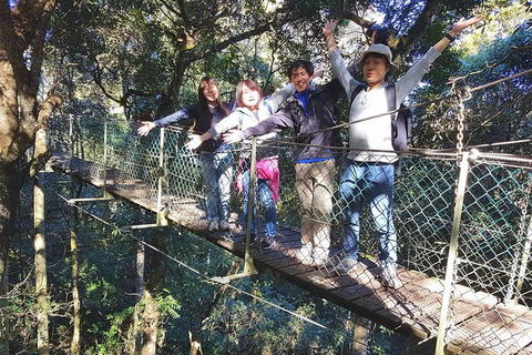 Exclusive Private Tour - Design Your Own - Accommodation Sunshine Coast 5