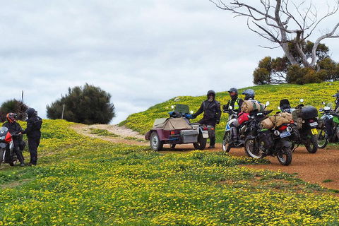 3 Days Flerieu Peninsula And Kangaroo Island Motorcycle Tour - Accommodation Sunshine Coast 2