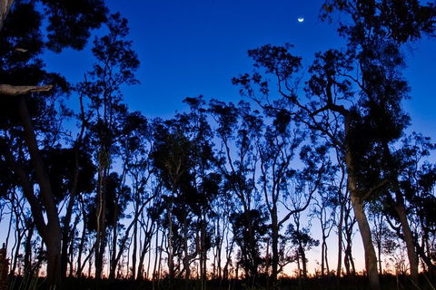 Small-Group Kangaroo Island 4WD Night Tour - Accommodation Sunshine Coast 2