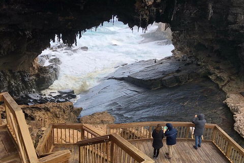 Kangaroo Island 4WD Tour - Best Of KI - Accommodation Sunshine Coast 1