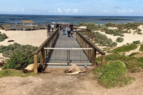 Kangaroo Island 4WD Tour - Best Of KI - Accommodation Sunshine Coast 2