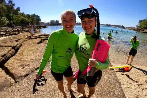 Manly Snorkel Trip And Nature Walk With Local Guide - Accommodation Sunshine Coast 1