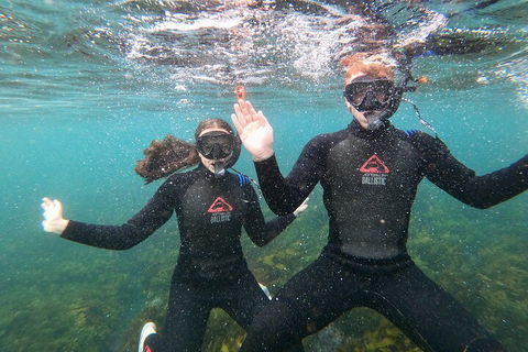 Manly Snorkel Trip And Nature Walk With Local Guide - Accommodation Sunshine Coast 3